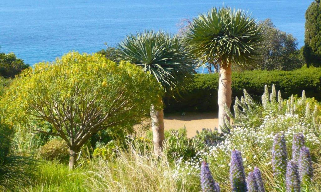 Hotel Beau Soleil Le Lavandou Kültér fotó
